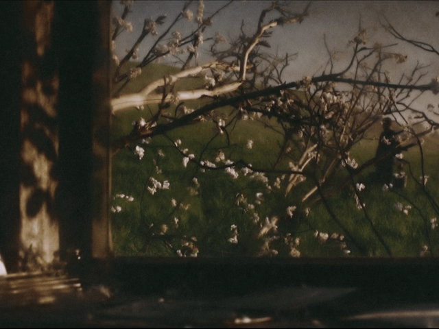 Birey ve Film Sanatı